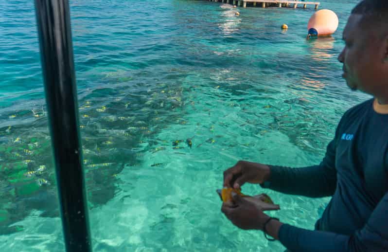 Cartagena: Ecoplan on Barú, Aviary and Oceanarium in one day - What this Barú day is really trying to do