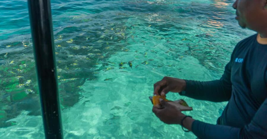Cartagena: Ecoplan on Barú, Aviary and Oceanarium in one day - The local boat toward the Rosario Islands