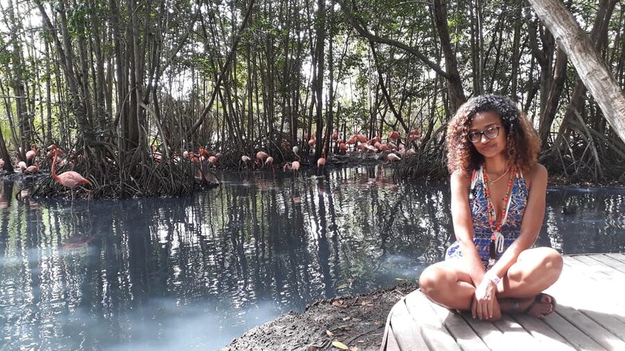 Cartagena: Ecoplan on Barú, Aviary and Oceanarium in one day - Lunch and the second Barú stop