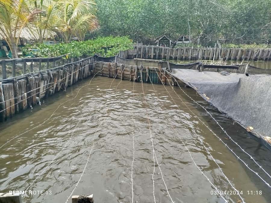 Cartagena: FISHERMEN'S ISLAND IN THE MANGROVES by canoe - A few practical tips for a smoother outing