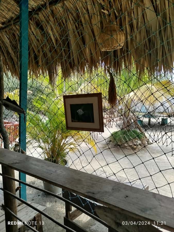 Cartagena: FISHERMEN'S ISLAND IN THE MANGROVES by canoe - Why this canoe trip feels different from Cartagena sightseeing