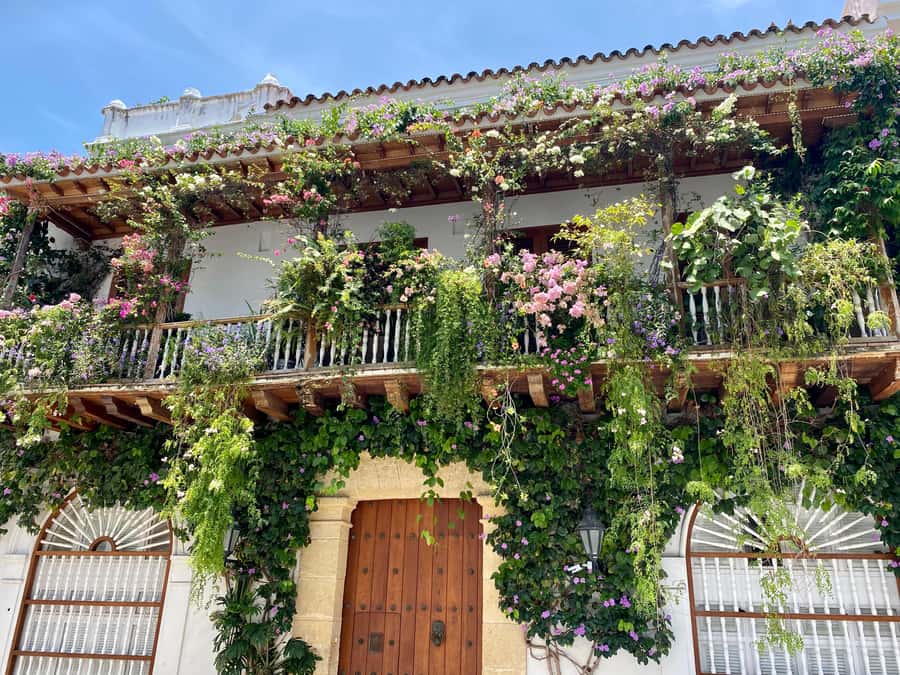Cartagena: History, Culture & Coffee Experience - Plaza de la Aduana and Cartagena’s colonial core