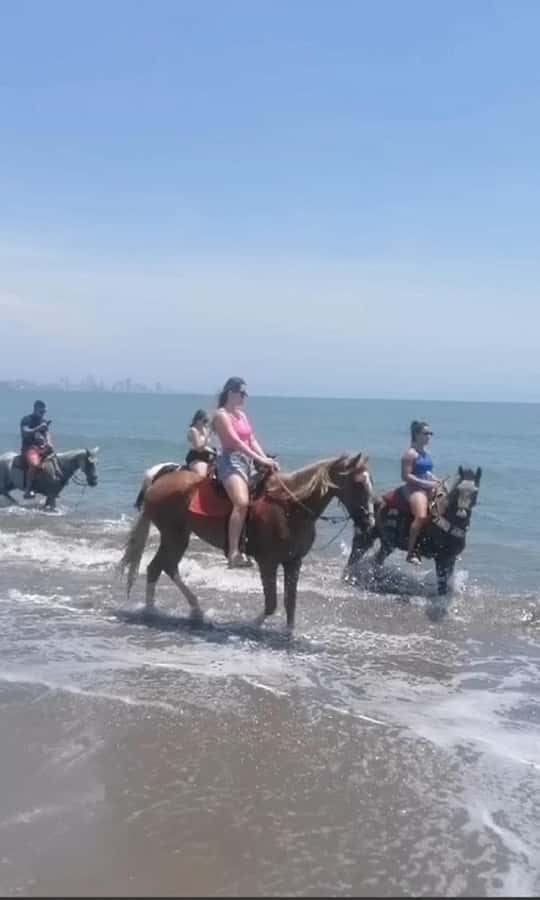 Cartagena: Horse Riding on the Beach with Photos and Lunch - Key points to know before you book