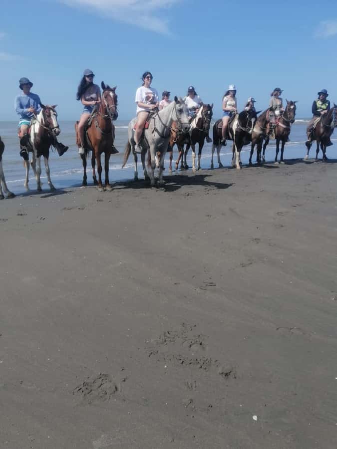 Cartagena: Horse Riding on the Beach with Photos and Lunch - From Portovento to Los Morros