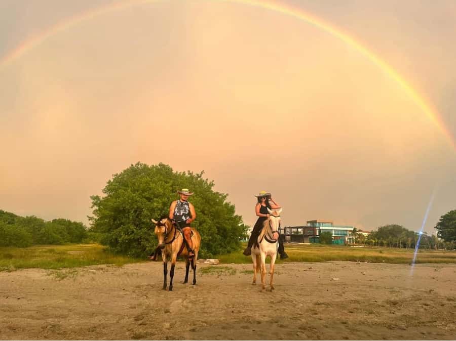 Cartagena: Horseback Ridding Excursion on the Beach - Meeting the horses and choosing your ride