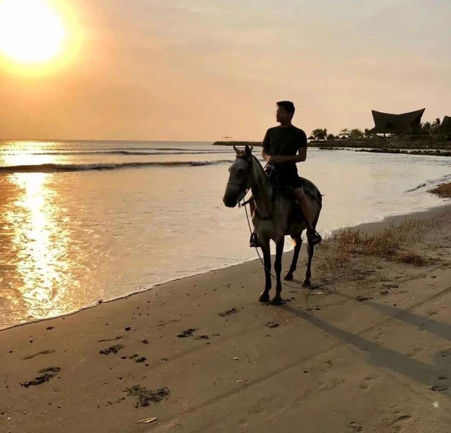 Cartagena: Horseback Ridding Excursion on the Beach - What the guide adds to the experience