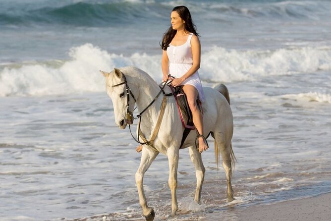 Cartagena: Horseback Riding at the Beach During Day or Sunset - Key points to know before you book