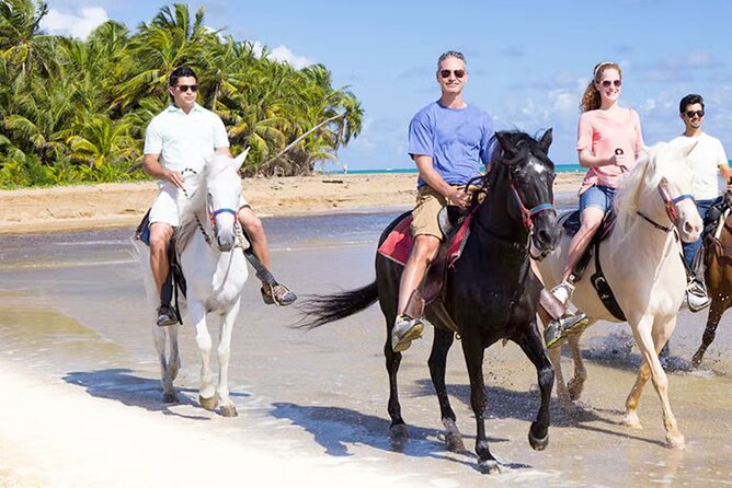Cartagena: Horseback Riding at the Beach During Day or Sunset - What happens before you mount