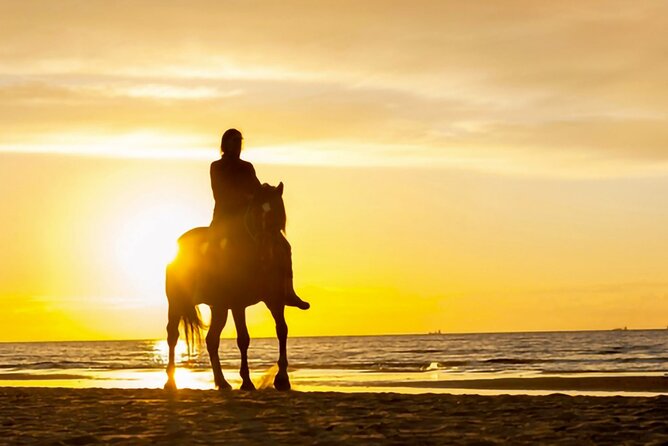 Cartagena: Horseback Riding at the Beach During Day or Sunset - The beach route and the rural side of Cartagena