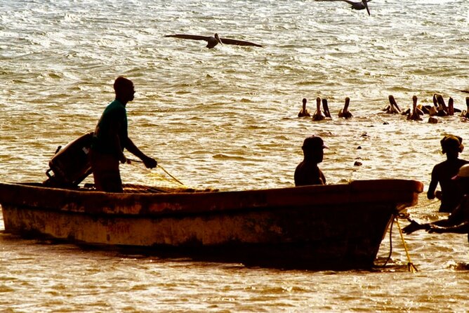 Cartagena: Horseback Riding at the Beach During Day or Sunset - Why sunset is the strongest option