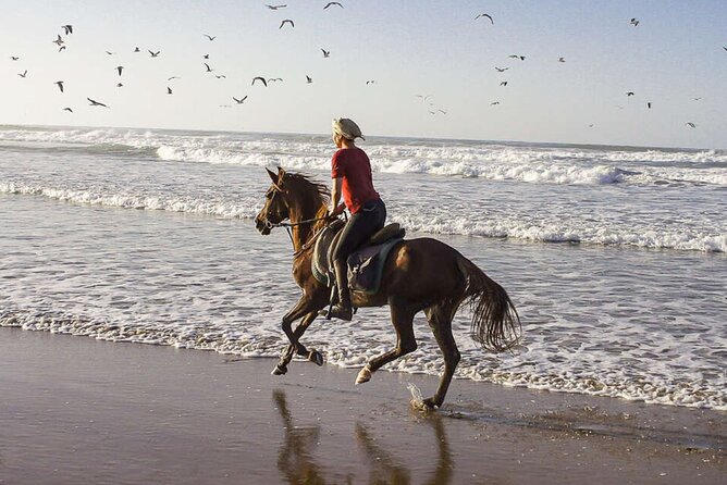 Cartagena: Horseback Riding at the Beach During Day or Sunset - Safety, weather, and the meeting point