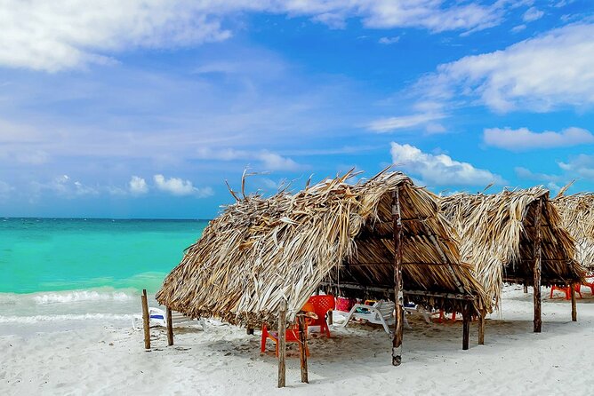 Cartagena: Horseback Riding at the Beach During Day or Sunset - Who will enjoy this beach ride most