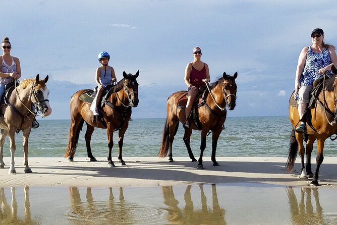 Cartagena: Horseback Riding at the Beach During Day or Sunset - Calm horses and a gentle start for beginners