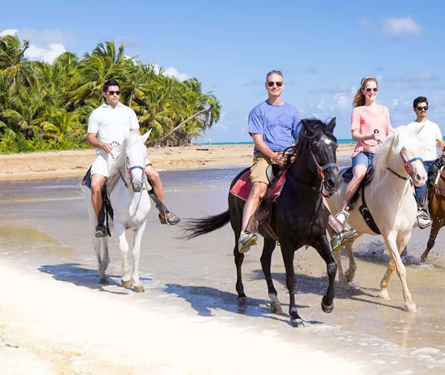 Cartagena: Horseback Riding on the Beach at Sunset - Key points to know before you book