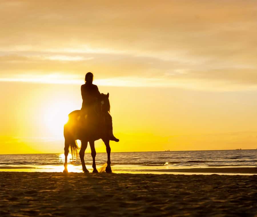 Cartagena: Horseback Riding on the Beach at Sunset - Why this beach ride feels different from Cartagena’s usual outings