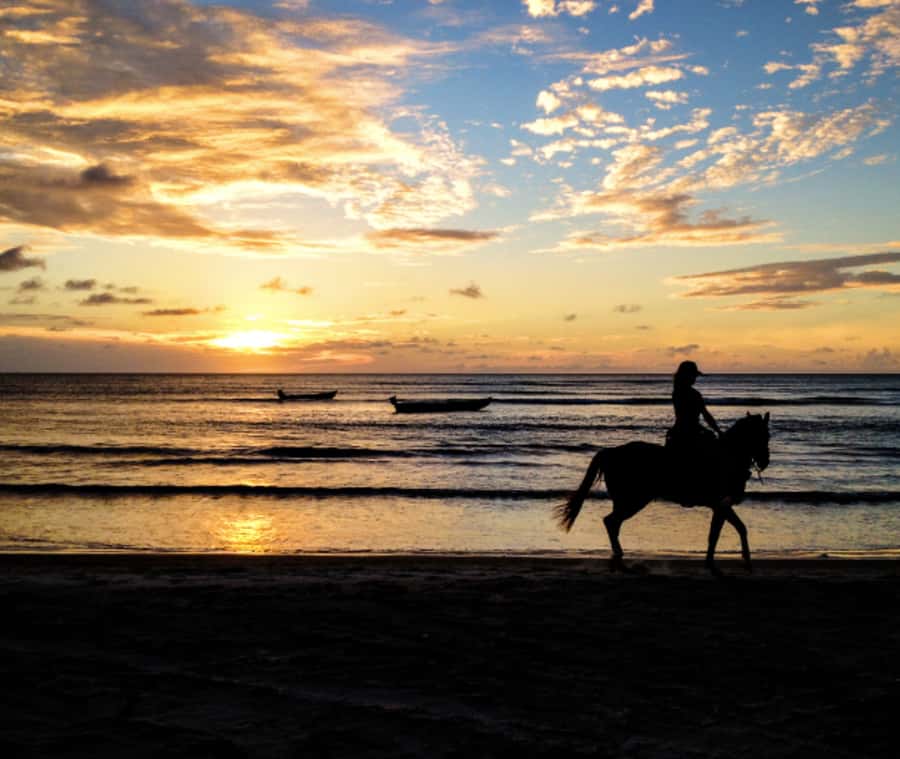 Cartagena: Horseback Riding on the Beach at Sunset - Mangroves, wildlife, and the rural side of Cartagena