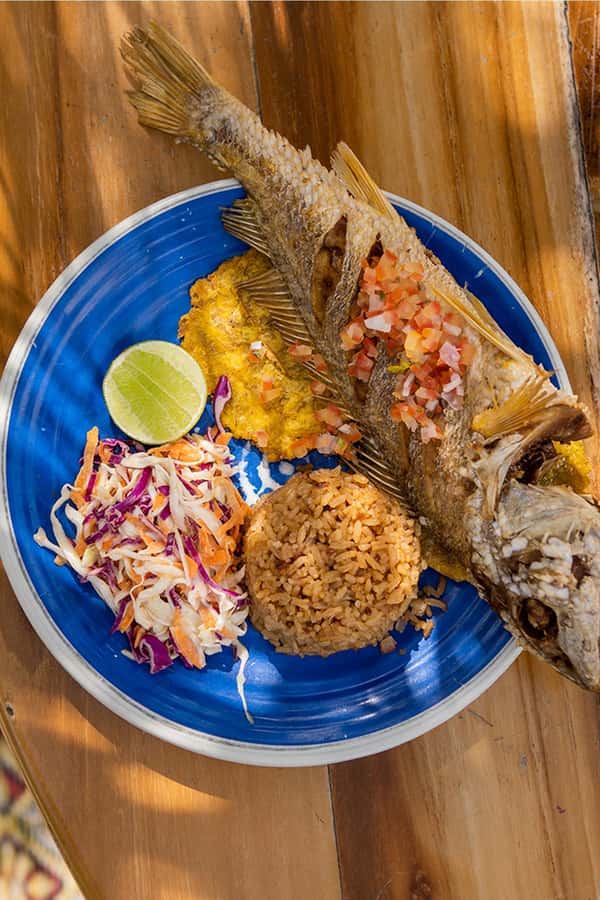 Cartagena: La Punta Beach Club Day Pass (Lunch included) - The DJ soundtrack and overall mood