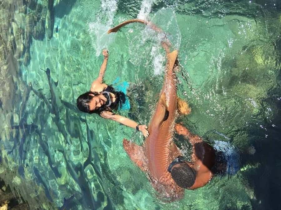 cartagena: Mucura and Santa Cruz Islands Tour spectacular - The transport is the real tradeoff at $120