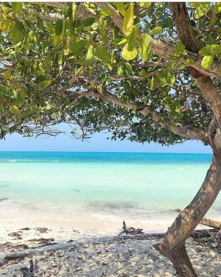 cartagena: Mucura and Santa Cruz Islands Tour spectacular - What the guiding and organization may be like