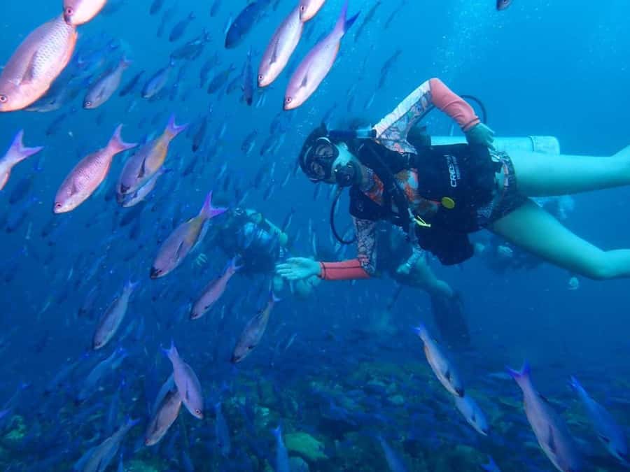 Cartagena: PADI DISCOVER SCUBA / MINICURSO DE BUCEO - First 50-minute session at Barú
