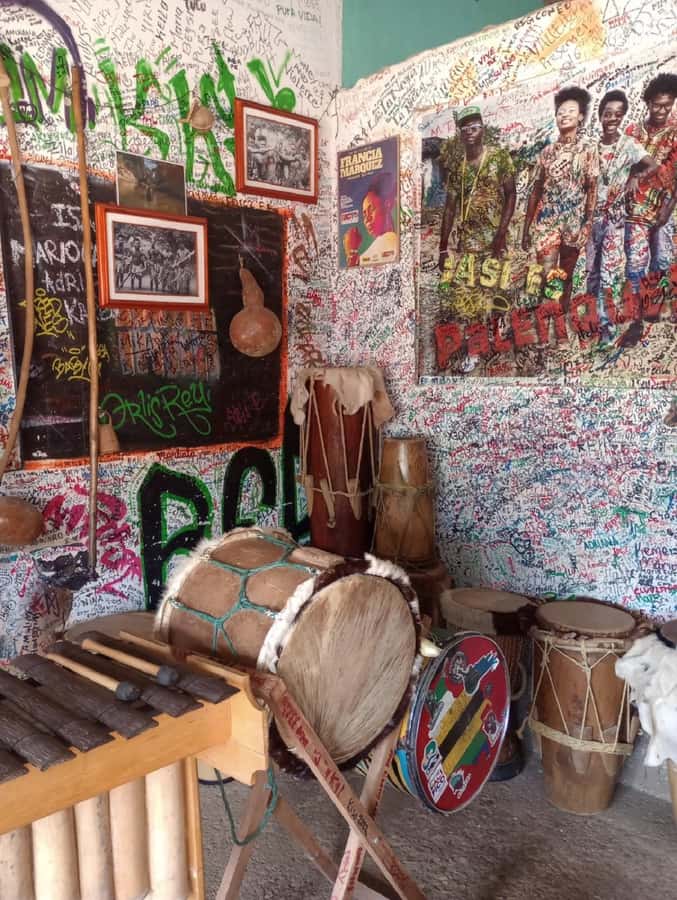 Cartagena: PALENQUE Tour AFRICAN TRADITIONS with Lunch - Lunch and a taste of Ñeque