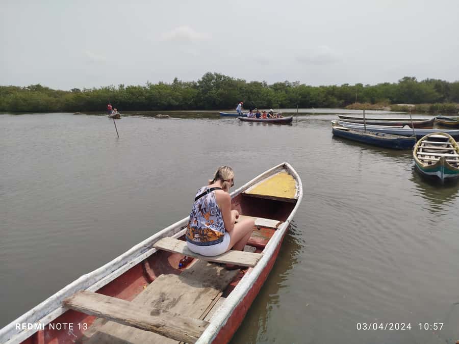 Cartagena: Private Sail in the mangrove GUIDE in ENGLISH - Birds, crabs, fish, and plants to watch for