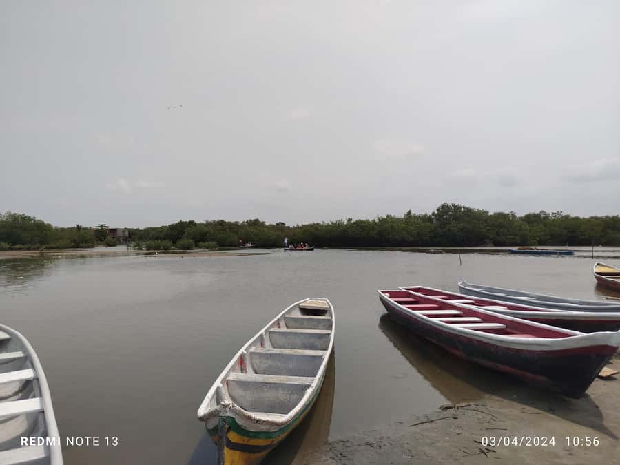 Cartagena: Private Sail in the mangrove GUIDE in ENGLISH - Price, transport, and the real value
