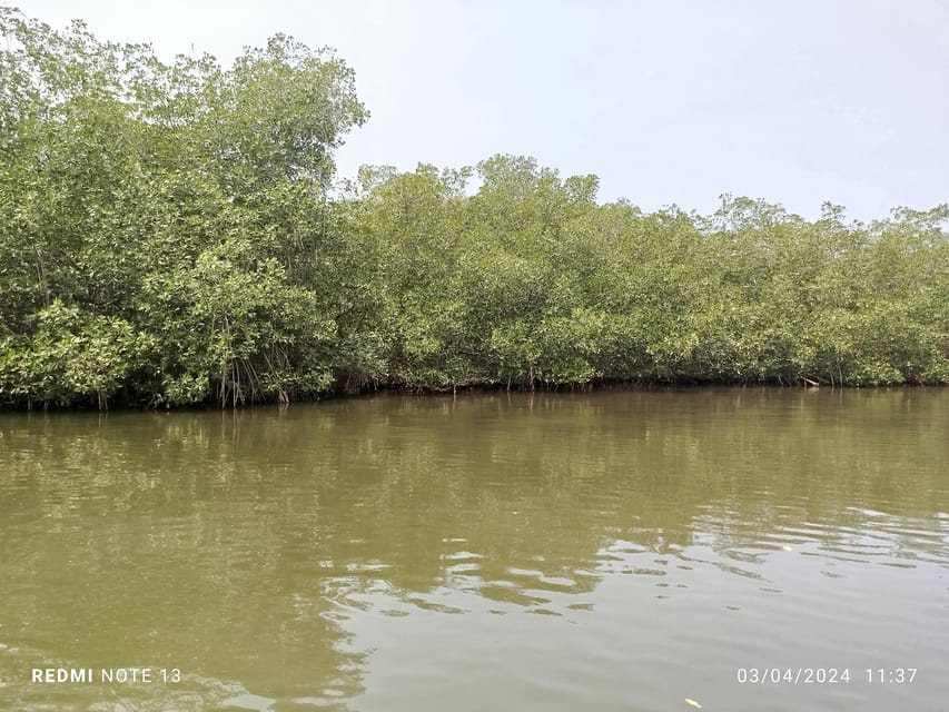Cartagena: Private Sail in the mangrove GUIDE in ENGLISH - The biggest practical issue: getting back