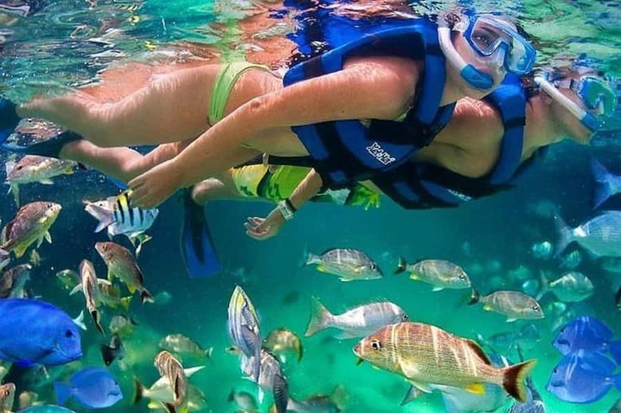 Cartagena: Raccoon Island Snorkel, Mangrove, Photos & Lunch - From Cartagena to Barú by morning bus
