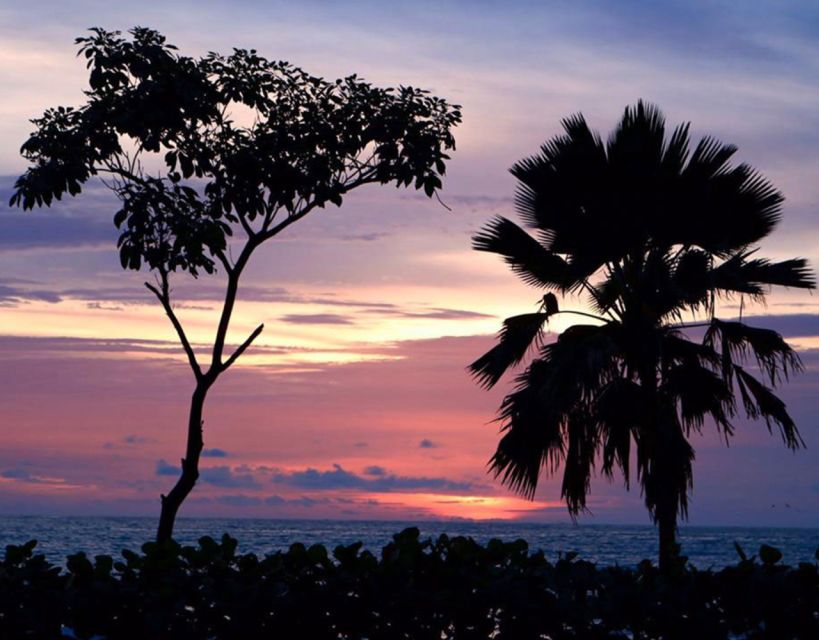 Cartagena: Rosario Islands Private Boat Tour - What the Private Format Adds