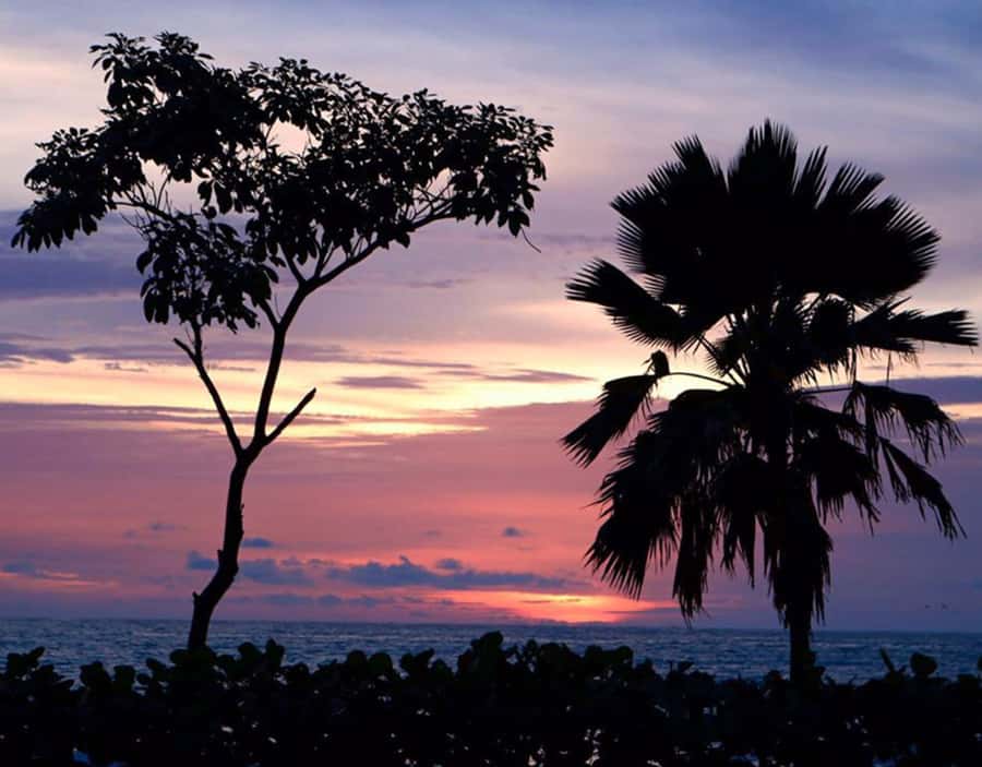 Cartagena: Rosario Islands Private Boat Tour - Is the $403 Price Worth It?