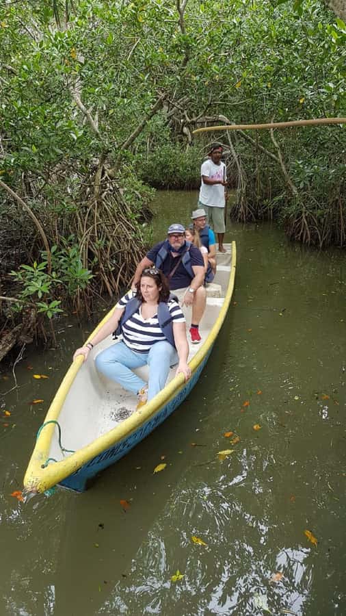 Cartagena: Sail in the mangroves of Cartagena - Key points at a glance