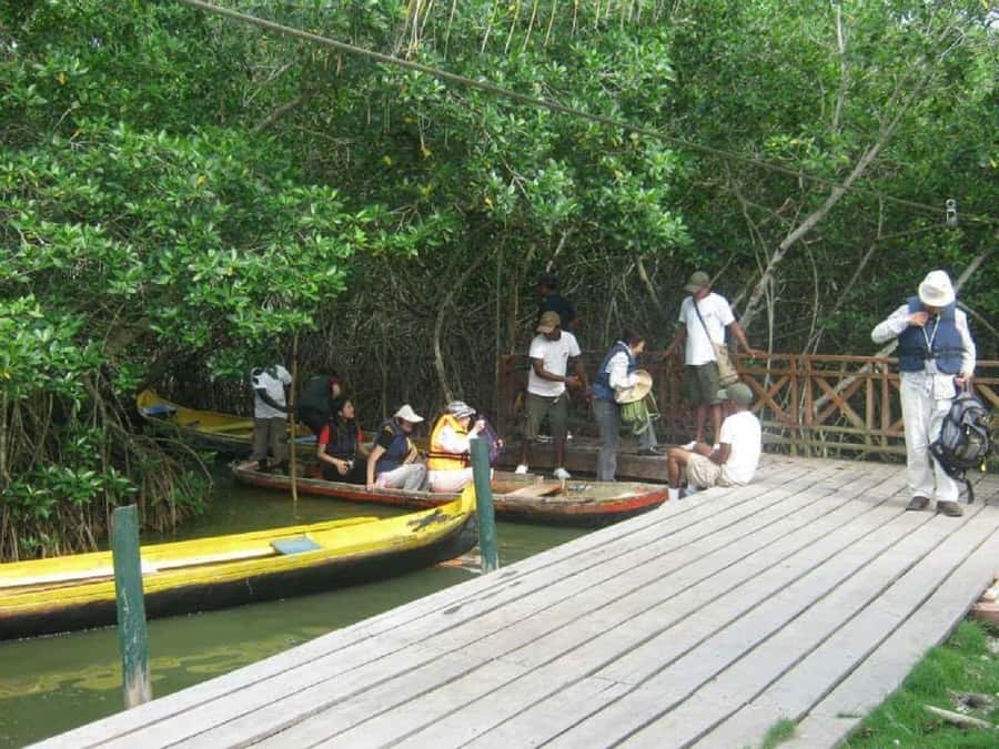 Cartagena: Sail in the mangroves of Cartagena - Who will enjoy this most?