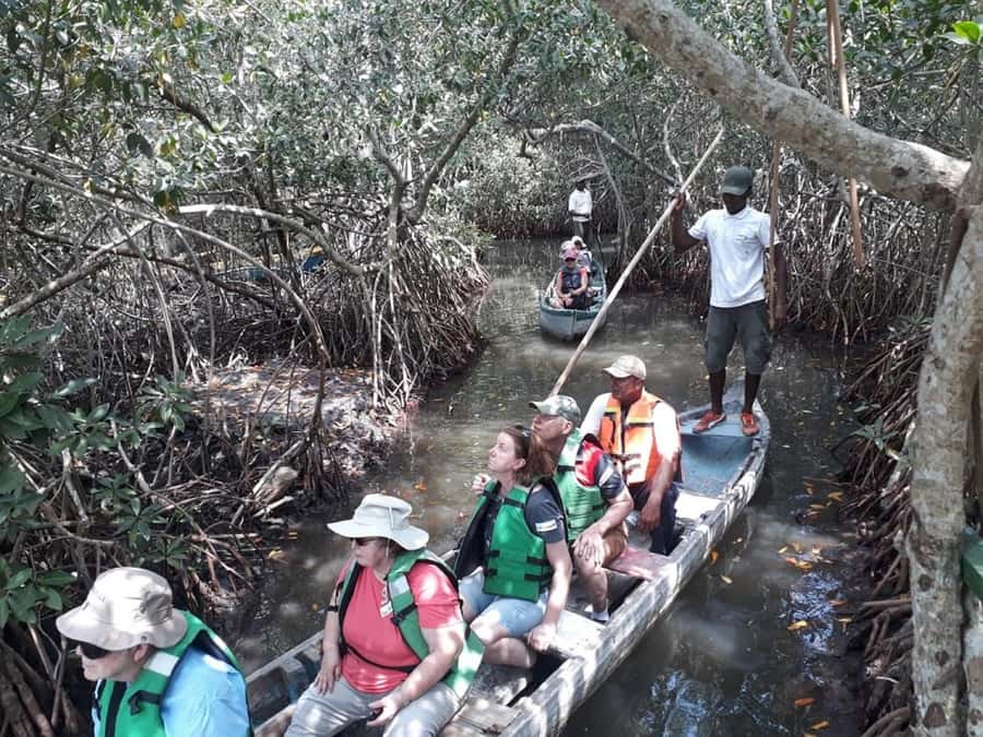 Cartagena: Sail in the mangroves of Cartagena - What you see from the traditional canoe