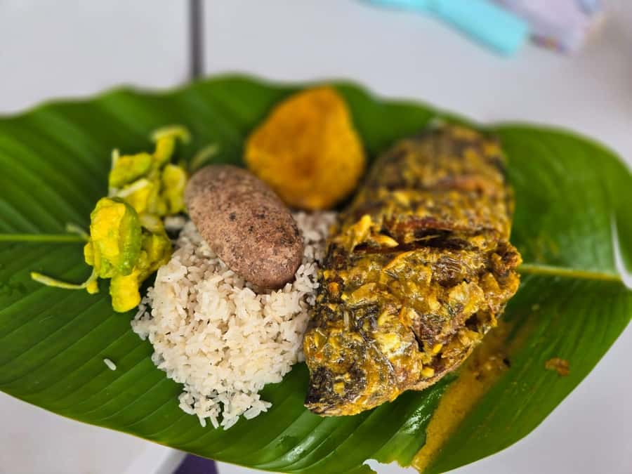 Cartagena: San Basilio de Palenque Guided Day Trip - Why San Basilio de Palenque matters