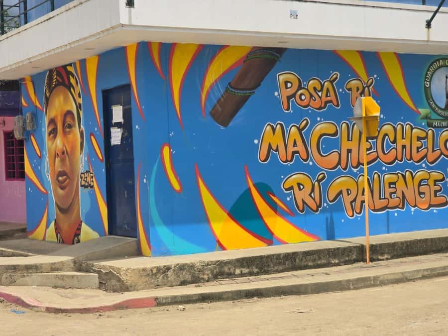 Cartagena: San Basilio de Palenque Guided Day Trip - Lunch, raspado, and the practical comforts