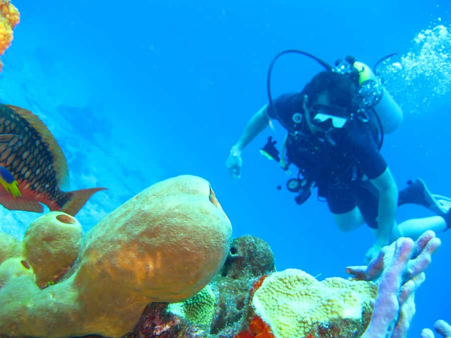 Cartagena: Scuba Diving Day Trip at Playa Blanca with Lunch - Playa Blanca time after the water activity