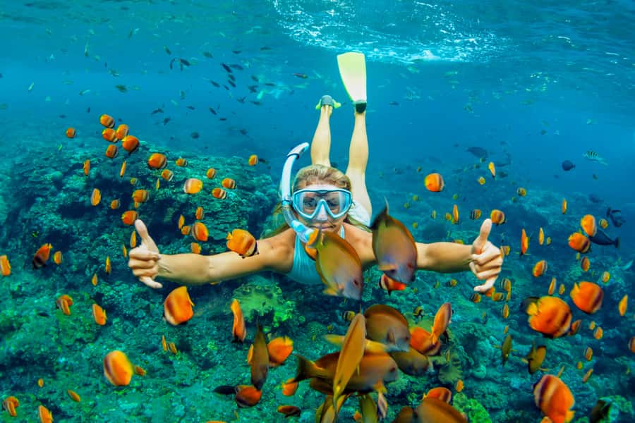 Cartagena: Snorkel, Mangroves and Playa Blanca Tour - Key points to know before booking