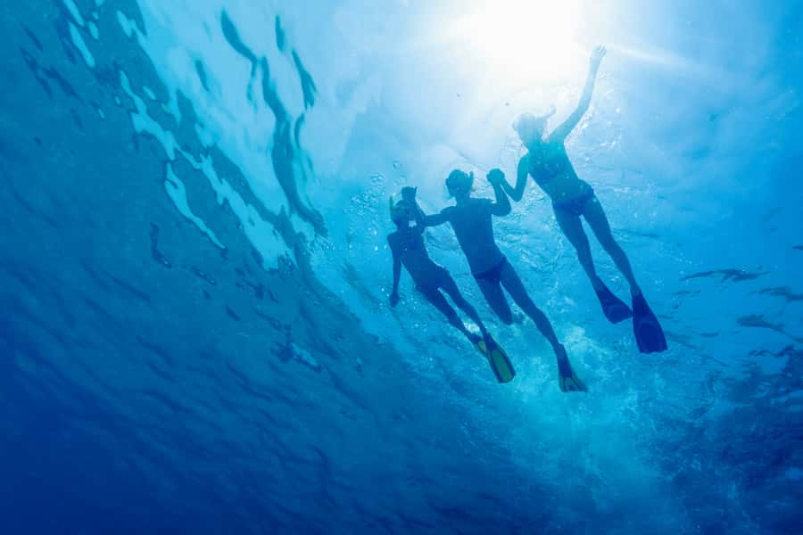 Cartagena: Snorkel, Mangroves and Playa Blanca Tour - The basic idea: three coastal stops in one day
