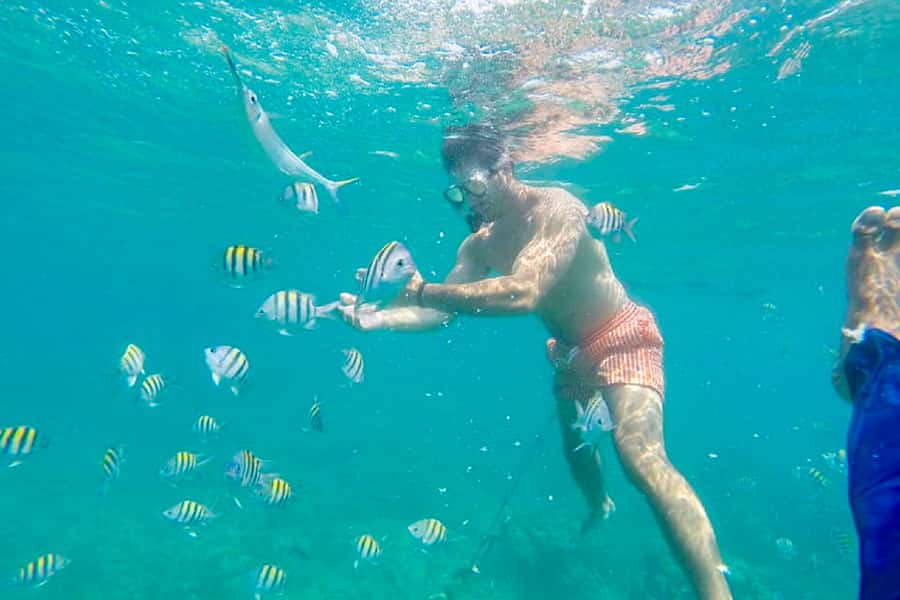 Cartagena: Snorkel, Mangroves and Playa Blanca Tour - Playa Blanca free time