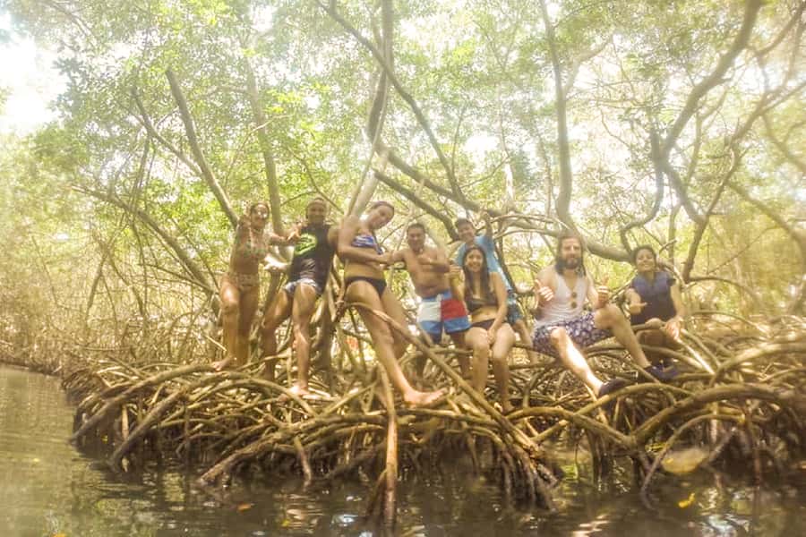 Cartagena: Snorkel, Mangroves and Playa Blanca Tour - Guides, language, and group handling