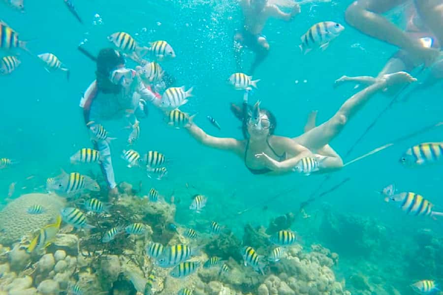Cartagena: Snorkel, Mangroves and Playa Blanca Tour - Getting from Cartagena to Baru