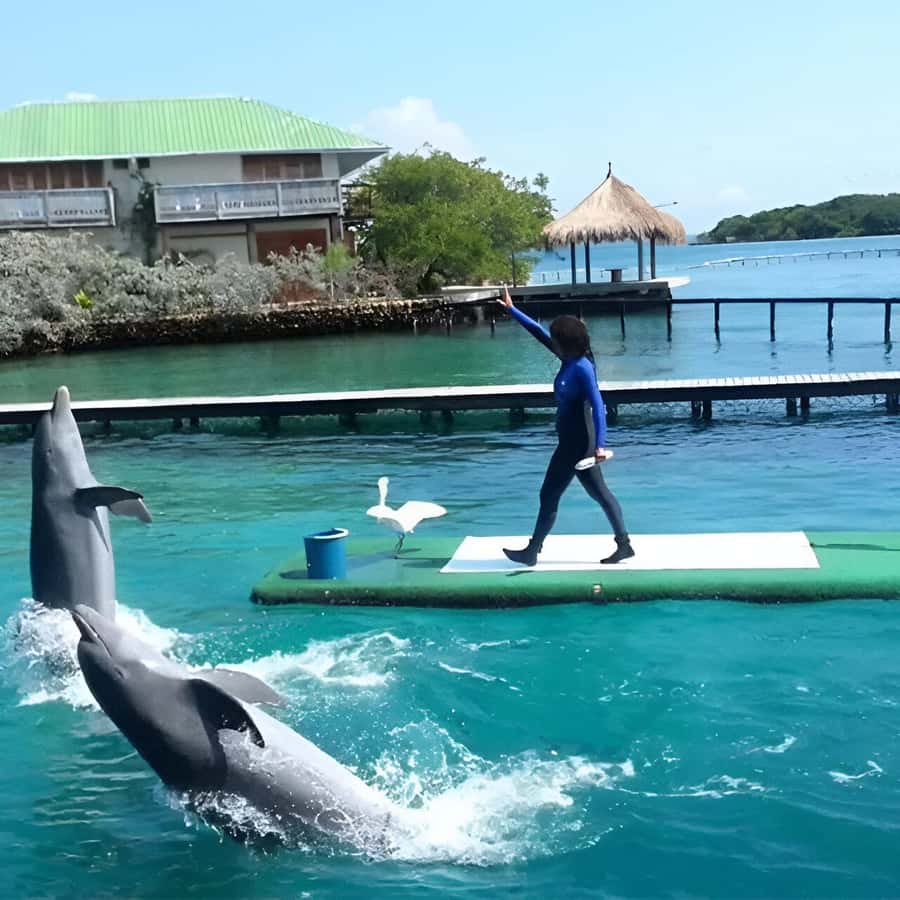 Cartagena: Visit 4 islands in a speedboat + plankton! - Playa Tranquila for lunch and a short reset