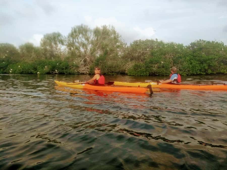 Cartagena: Walled City Kayak Tour - Who will enjoy this kayak trip most