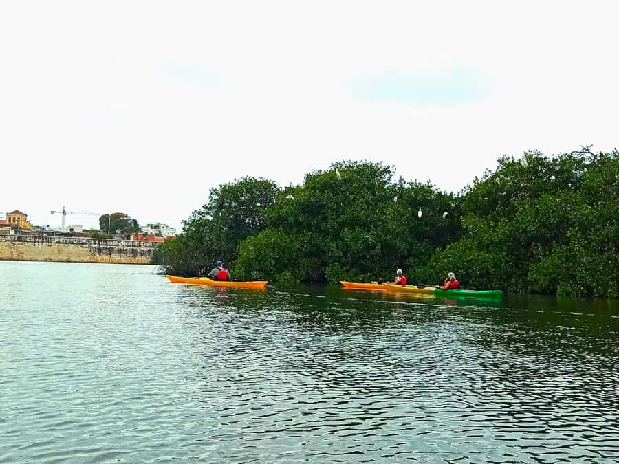Cartagena: Walled City Kayak Tour - What $73 gets you