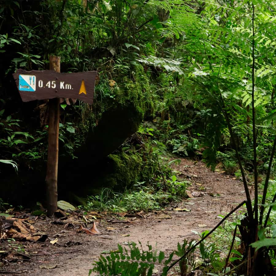 Chicaque Foggy Forest Hike - Leaving Bogotá for Soacha and the forest