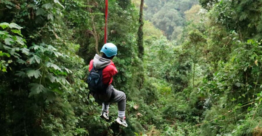 Chicaque Foggy Forest Hike - Wildlife without unrealistic expectations