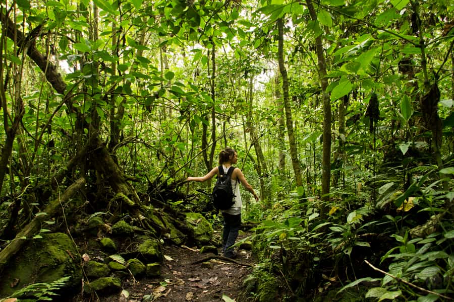 Chicaque Full-Day Trip from Bogotá - Key points to know before you book