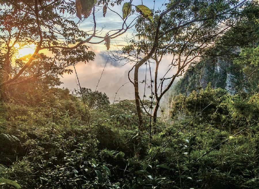 Chicaque Full-Day Trip from Bogotá - What the forest gives you along the way