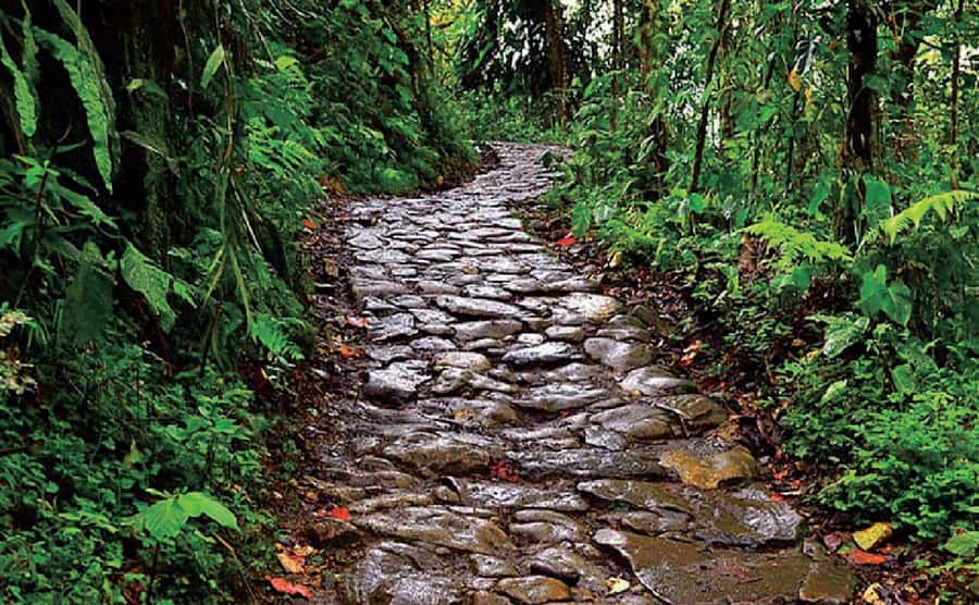 Chicaque Full-Day Trip from Bogotá - The final call on Chicaque